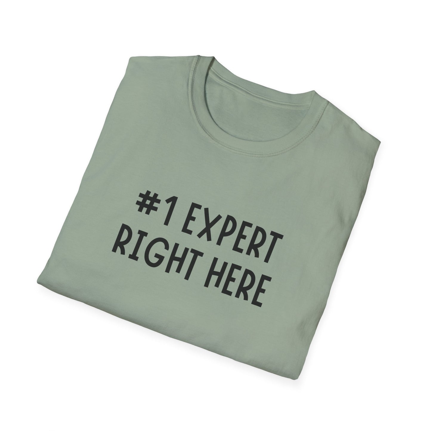 #1 Expert Right Here T-Shirt — Funny Confidence Tee