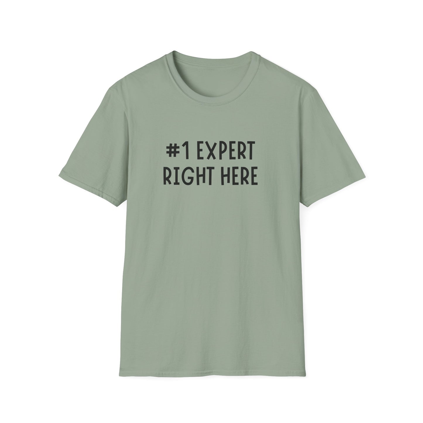 #1 Expert Right Here T-Shirt — Funny Confidence Tee