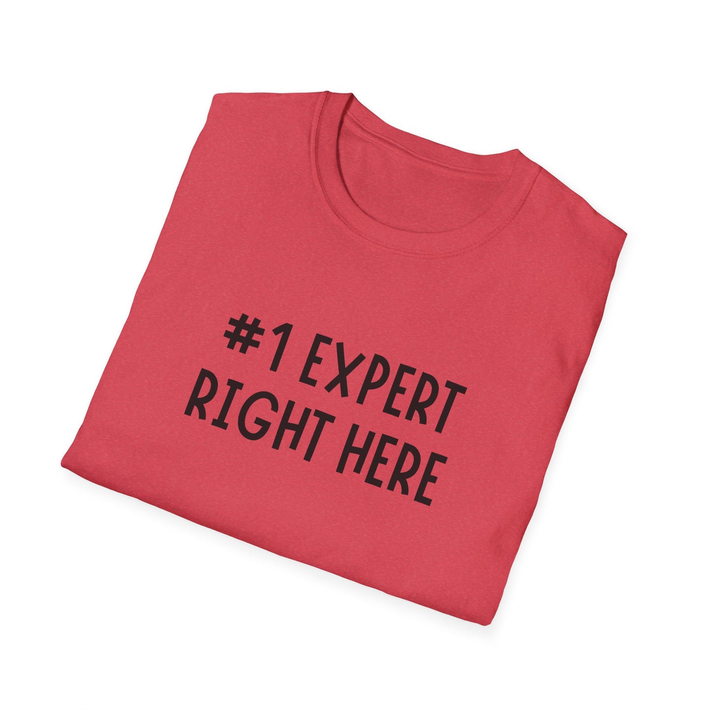 #1 Expert Right Here T-Shirt — Funny Confidence Tee